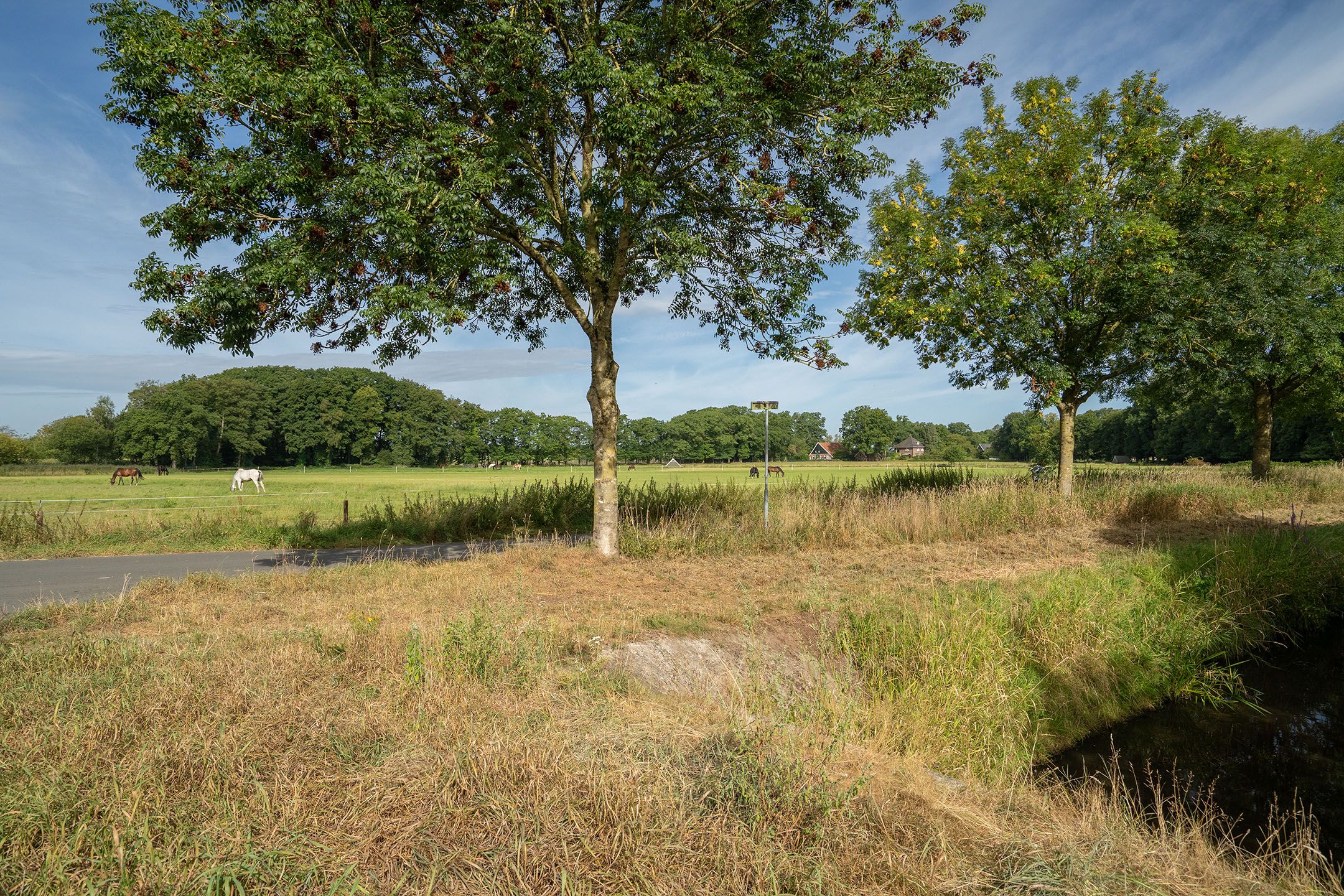 Photo 36 of Reygershöftehoek 133