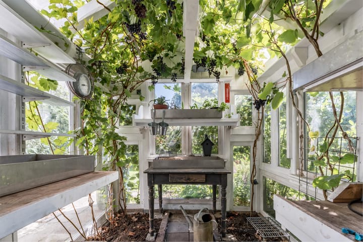 Foto 52 van Zanderijweg 100