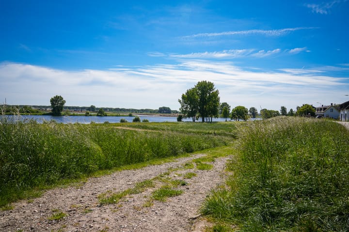 Photo 56 of Maasdijk 22