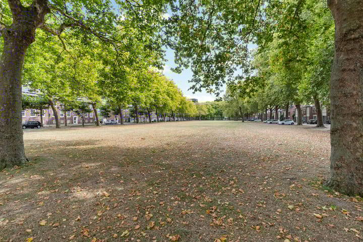 Foto 49 van Dr. Struyckenstraat 166