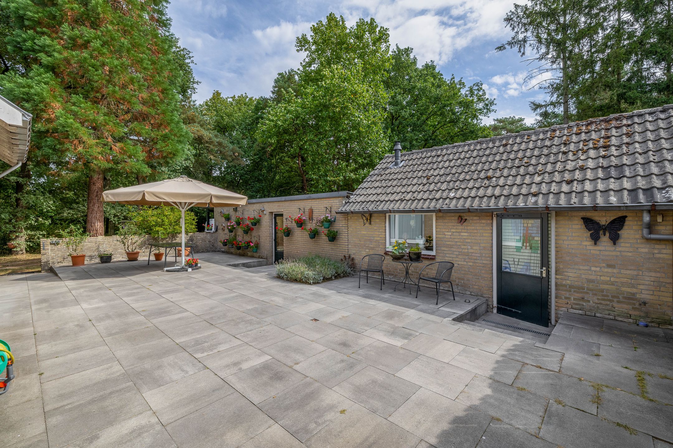 Photo 30 of Giersbergen 16