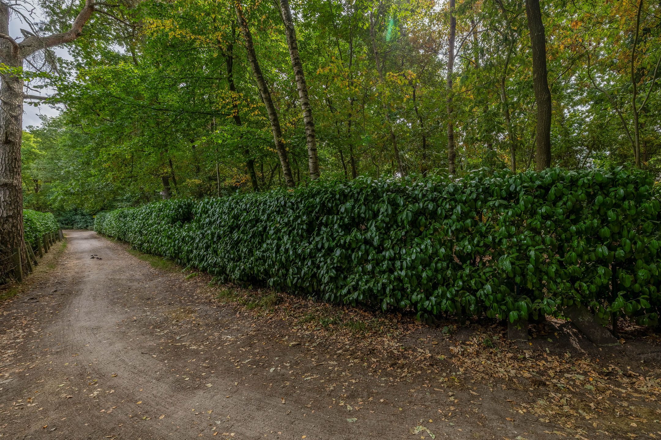 Photo 51 of Giersbergen 16