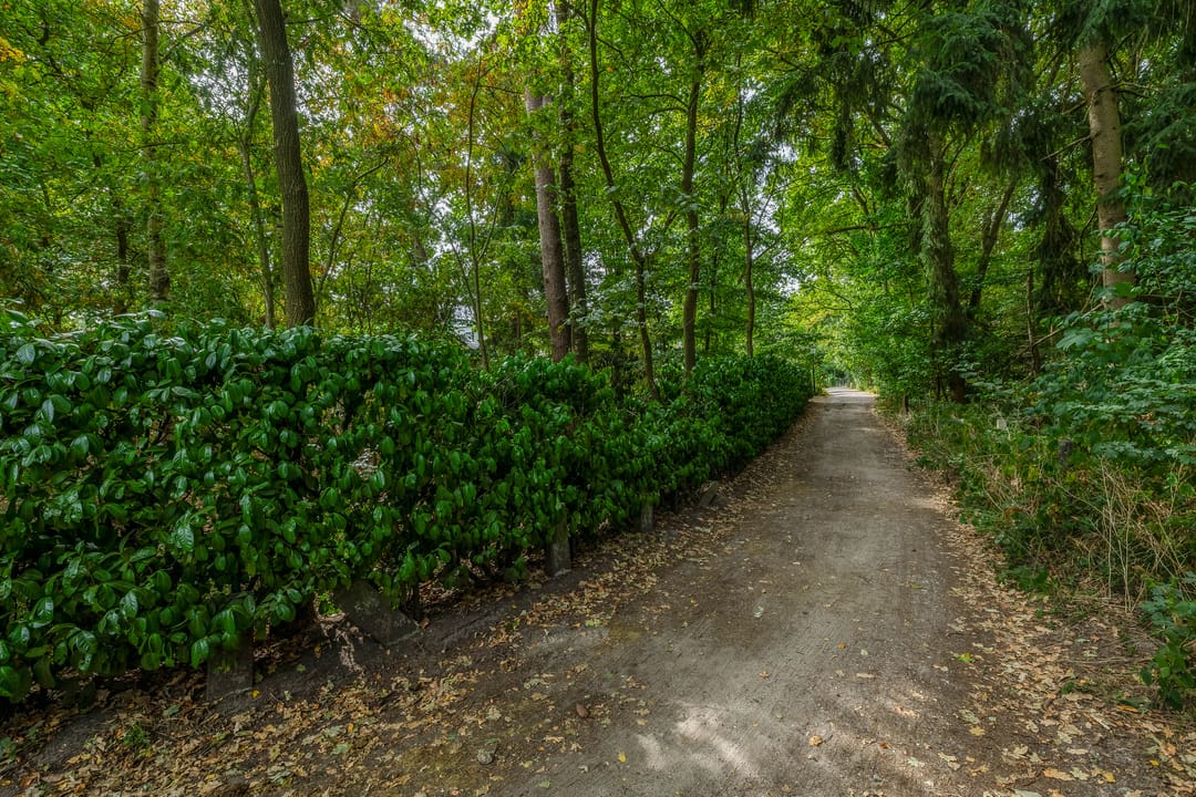 Photo 52 of Giersbergen 16