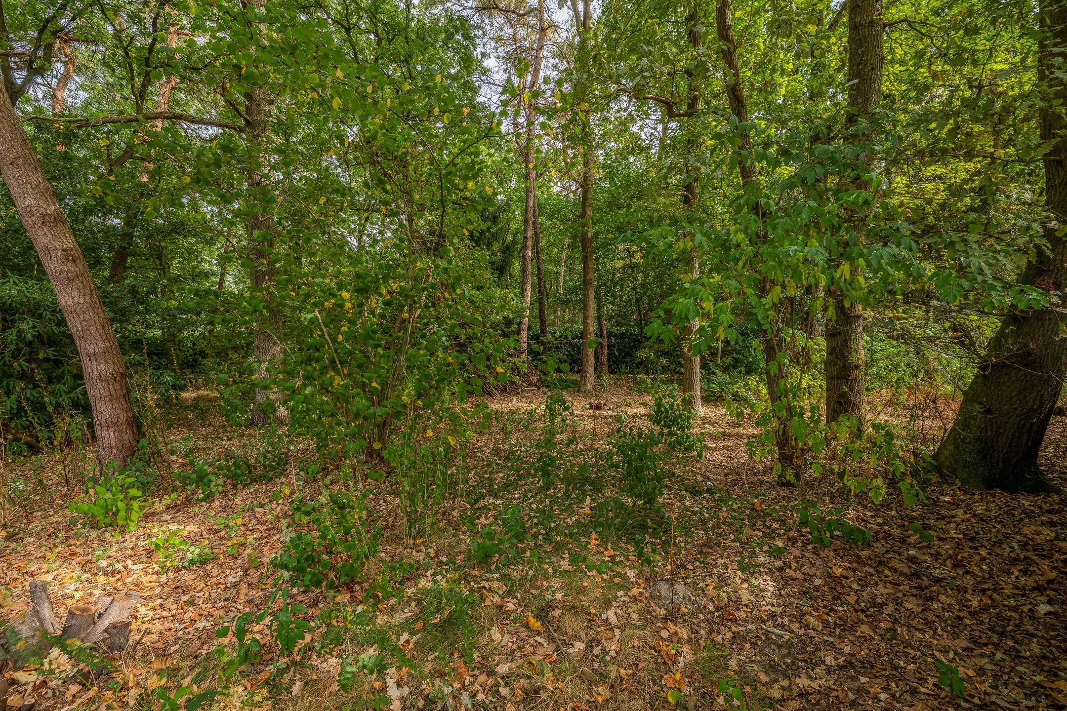 Photo 54 of Giersbergen 16