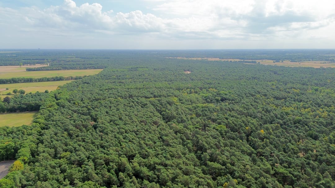 Photo 58 of Giersbergen 16