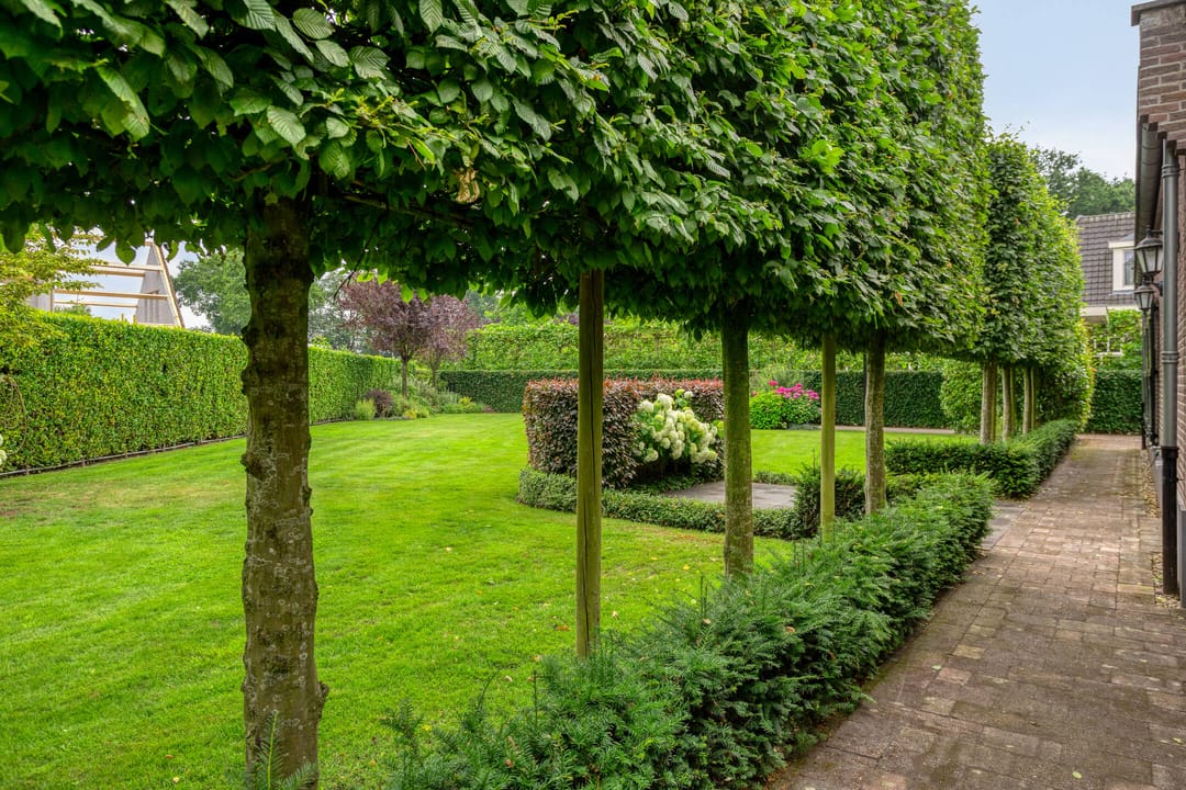 Foto 46 van Horizon 21