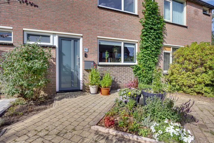 Foto 5 van Wilgenstuk 48