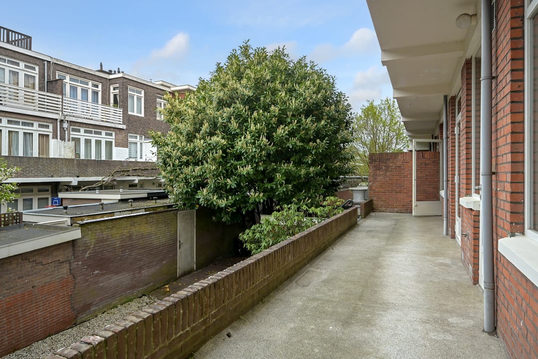 Foto 13 van Van Alkemadelaan 259