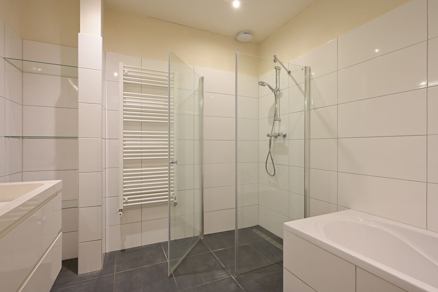 Foto 20 van Van Alkemadelaan 259