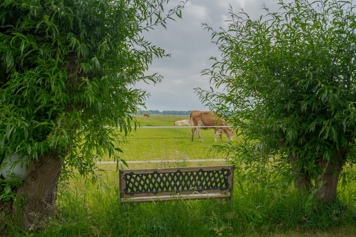 Foto 5 van Dwarshaspel 11