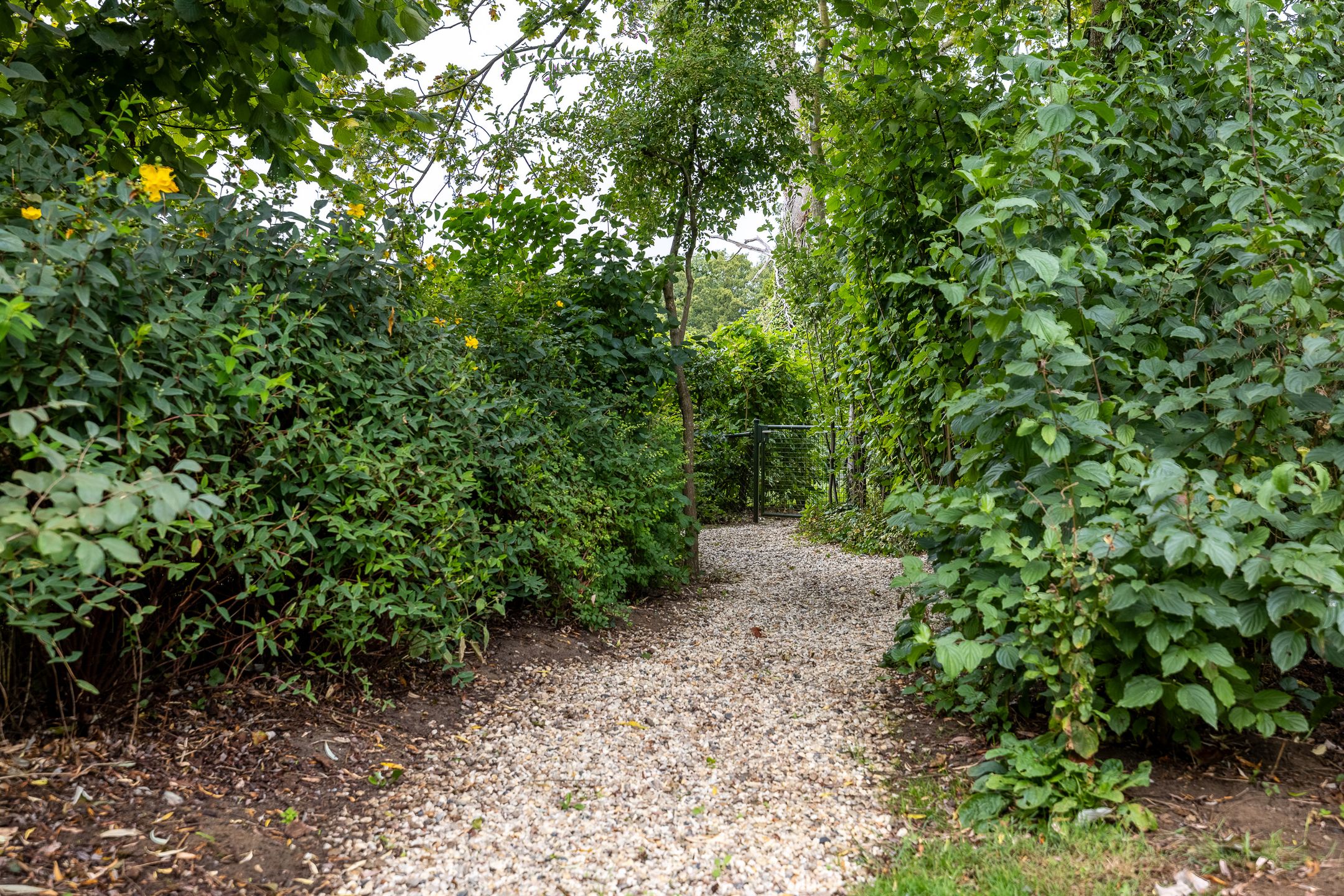 Photo 42 of Deldenseweg 2