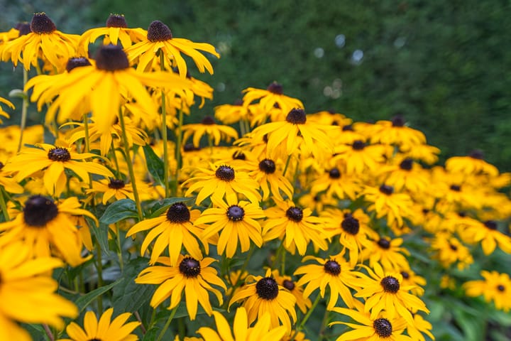 Foto 32 van Peter van Velpenlaan 23