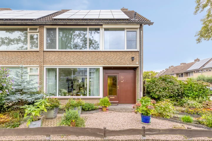 Foto 1 van Pisanostraat 73