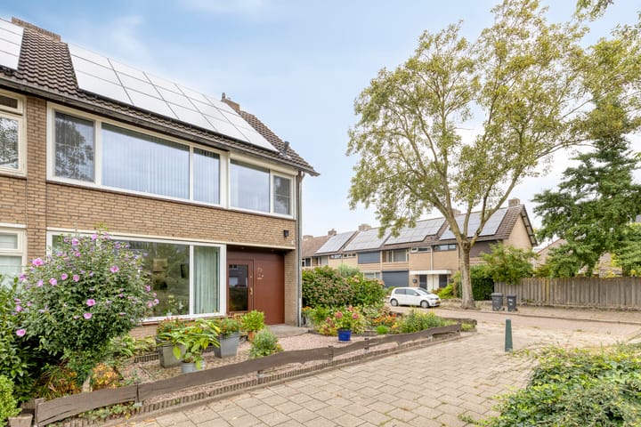 Foto 30 van Pisanostraat 73