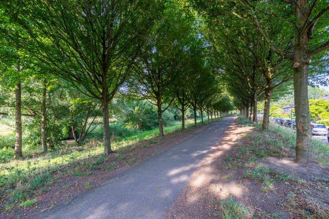 Foto 43 van Seychellen 138