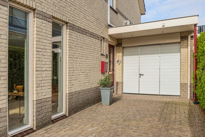 Foto 4 van Varenmos 4