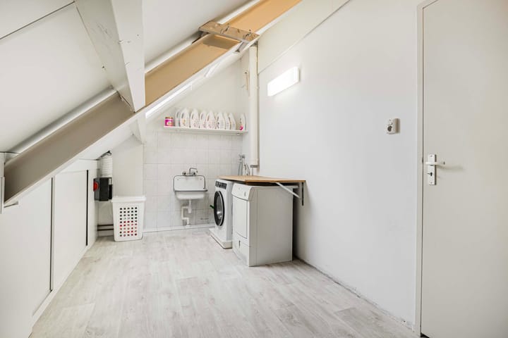 Foto 31 van Varenmos 4