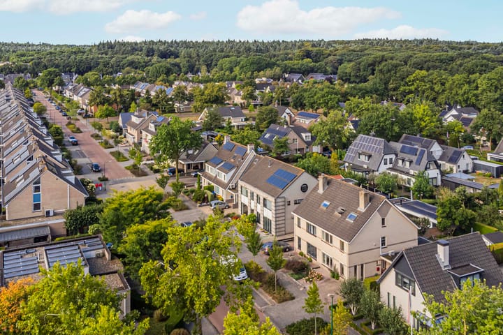 Foto 37 van Varenmos 4