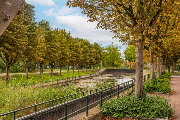 Foto 39 van Varenmos 4