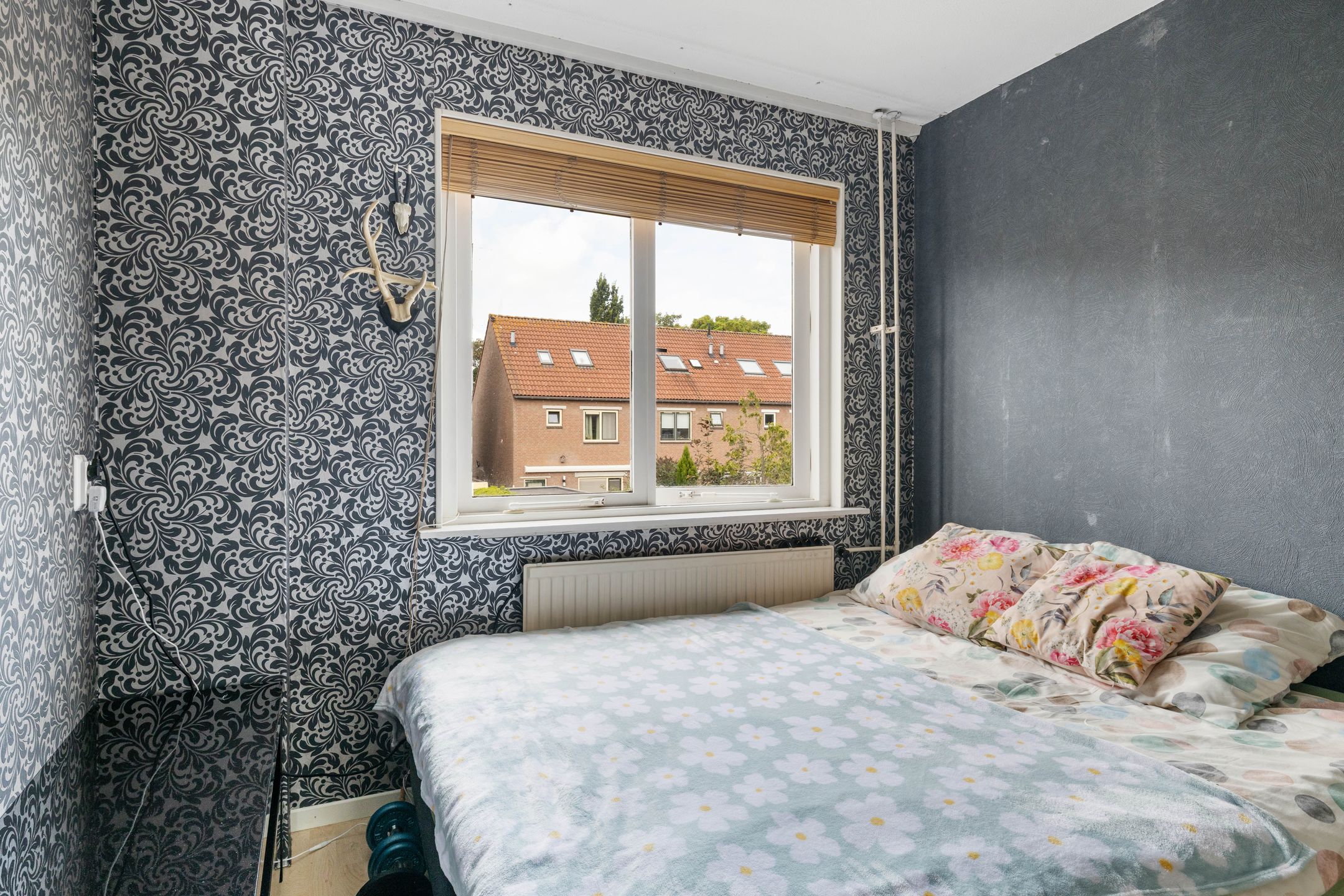 Foto 24 van Kamille 22