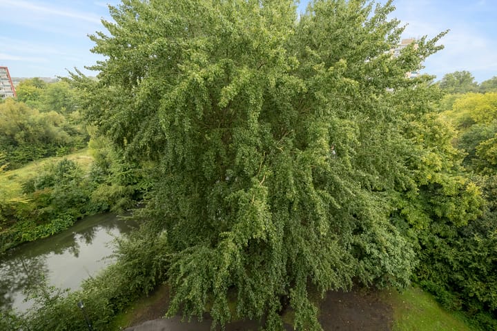 Foto 11 van Laan van Parijs 40