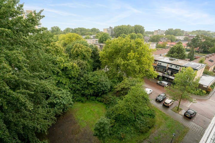 Foto 12 van Laan van Parijs 40