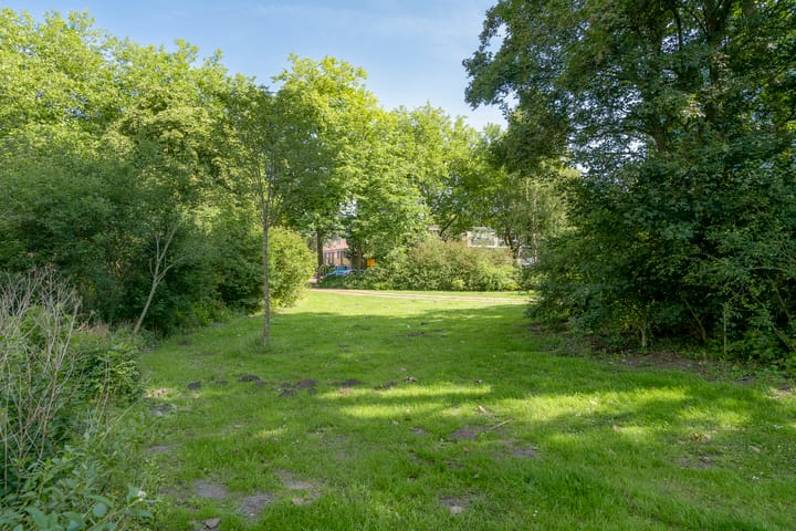 Foto 28 van Laan van Parijs 40