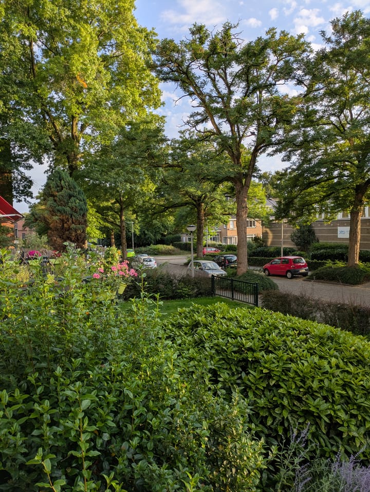 Foto 3 van Willem van Kleeflaan 3-3