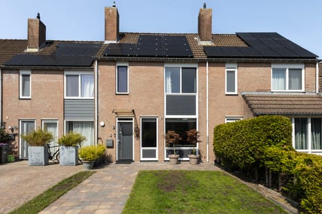 undefined main image