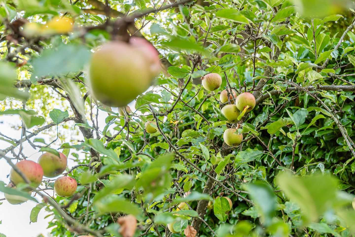 Foto 49 van Bontebrug 170