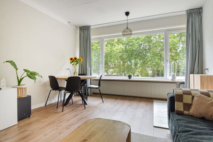 Foto 4 van West-Sidelinge 312