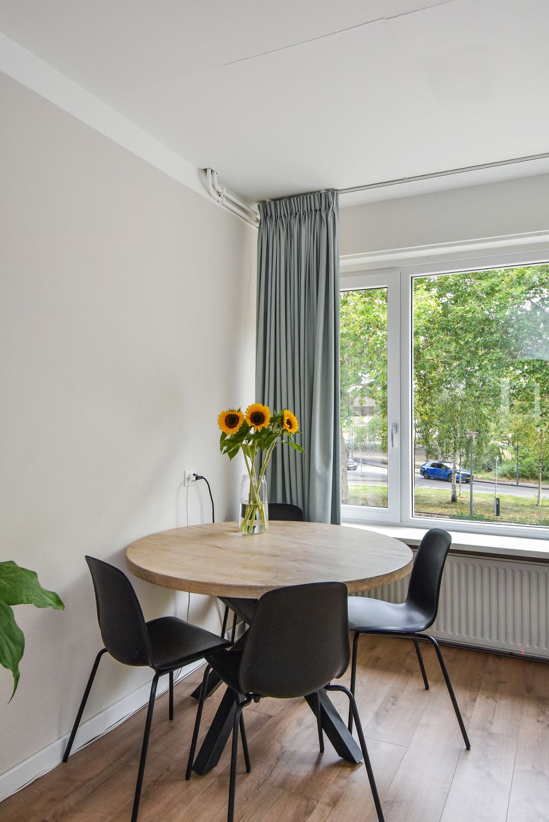 Foto 7 van West-Sidelinge 312
