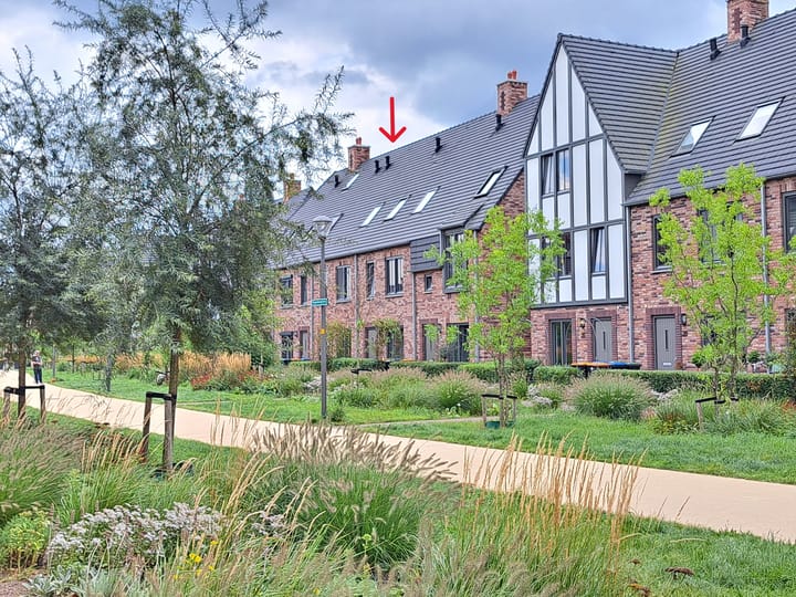 Foto 2 van Regenboogforel 22