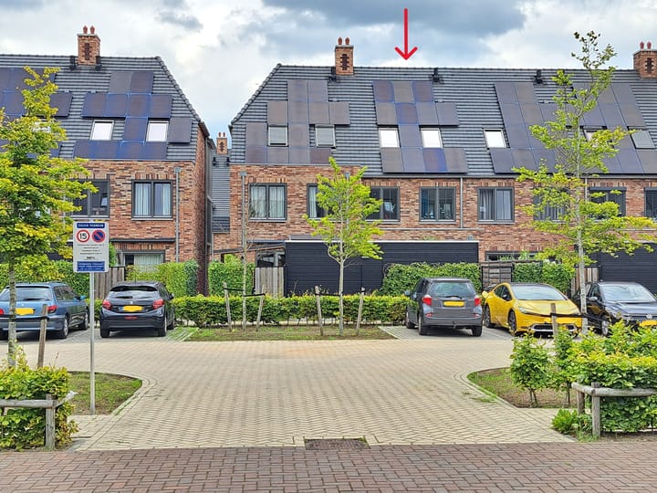 Foto 27 van Regenboogforel 22