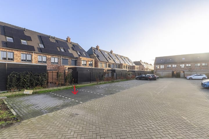 Foto 28 van Regenboogforel 22