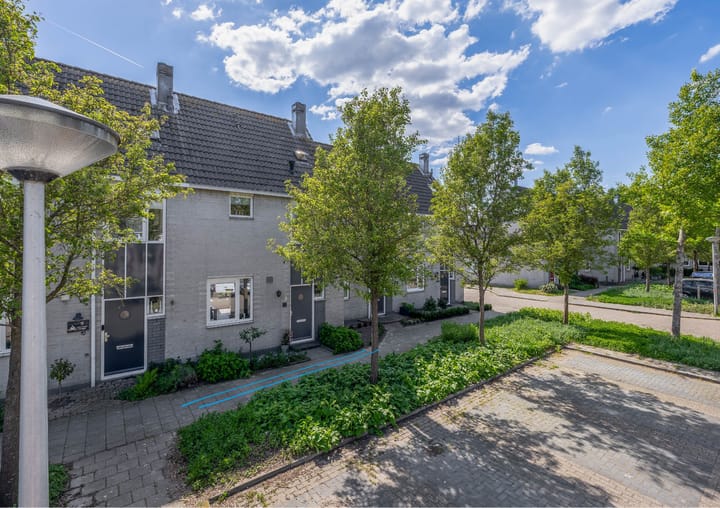 Foto 1 van de Grutto 7