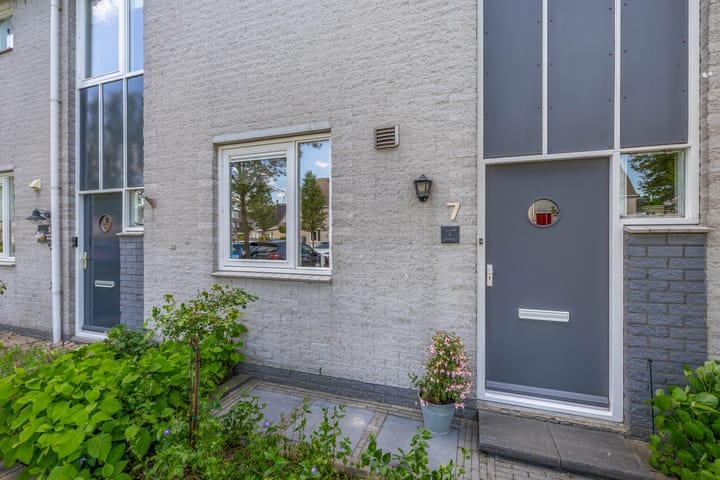 Foto 4 van de Grutto 7