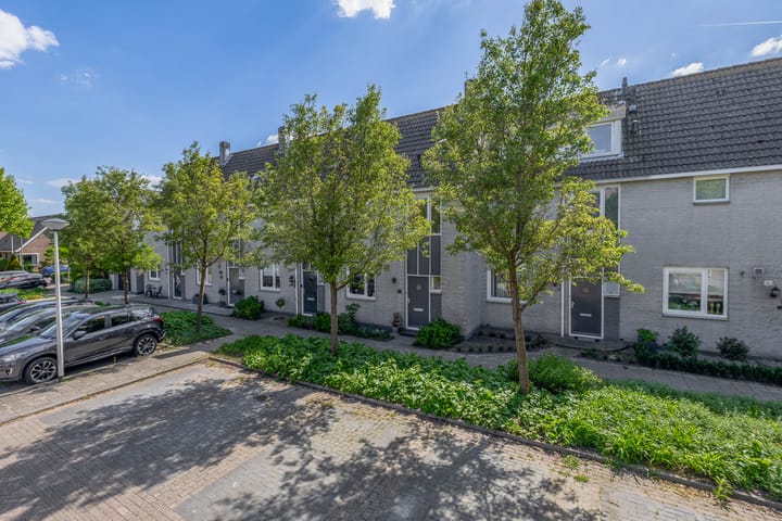 Foto 24 van de Grutto 7