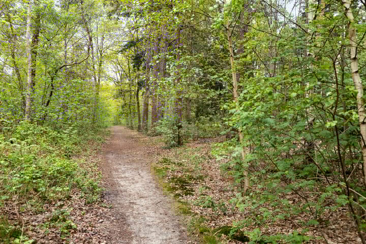 Foto 6 van Koninglaan 2