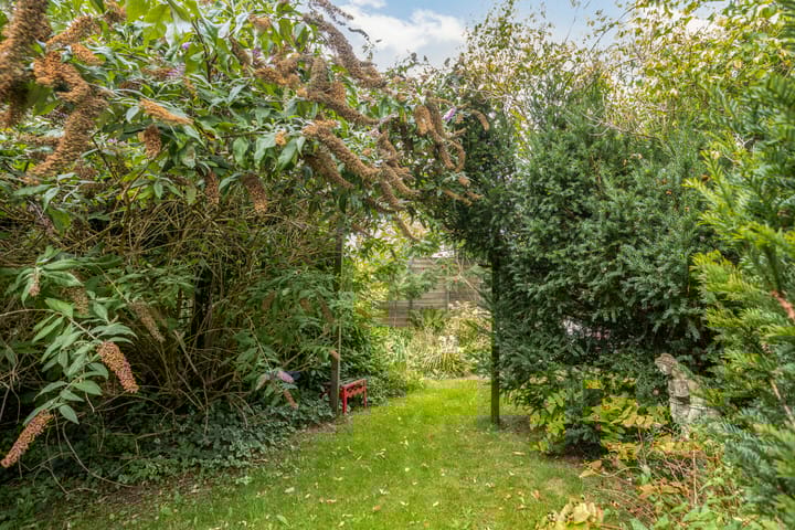 Photo 61 of Wilhelminalaan 9