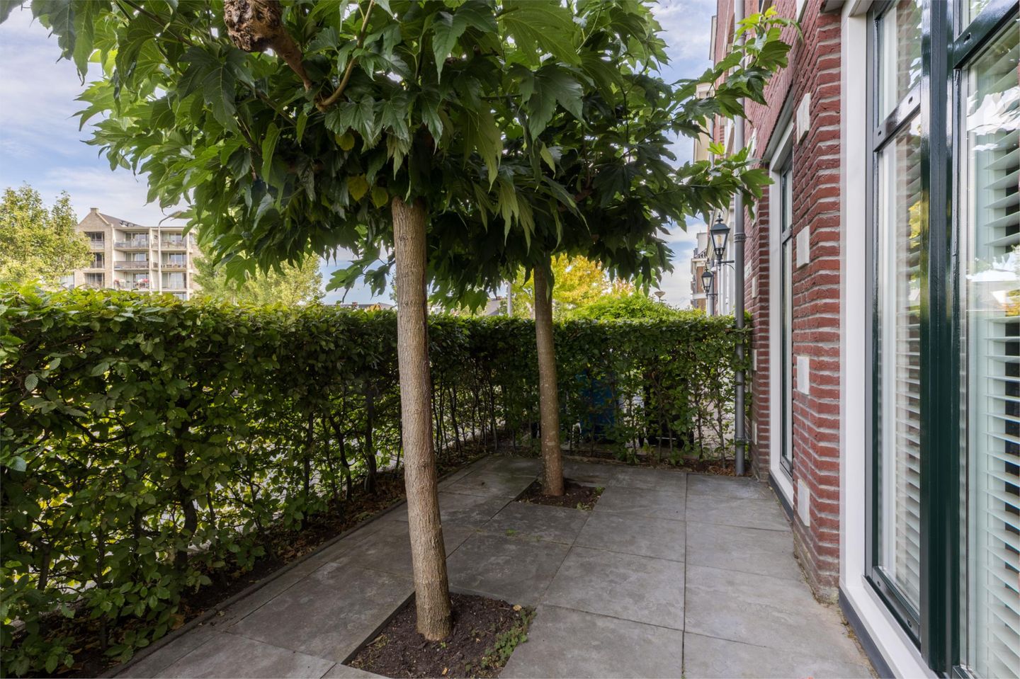 Photo 49 of Zonnedauwlaan 35