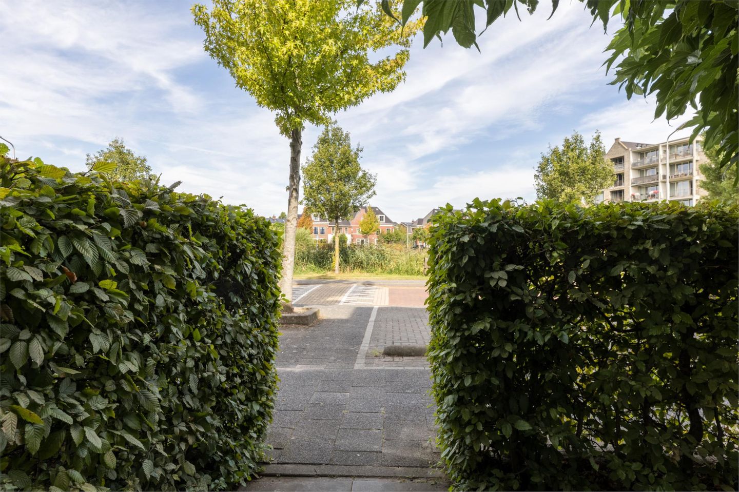 Photo 50 of Zonnedauwlaan 35