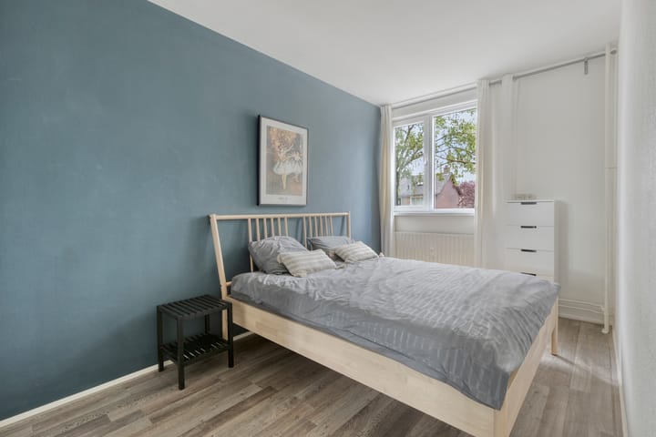 Foto 27 van Maassingel 270