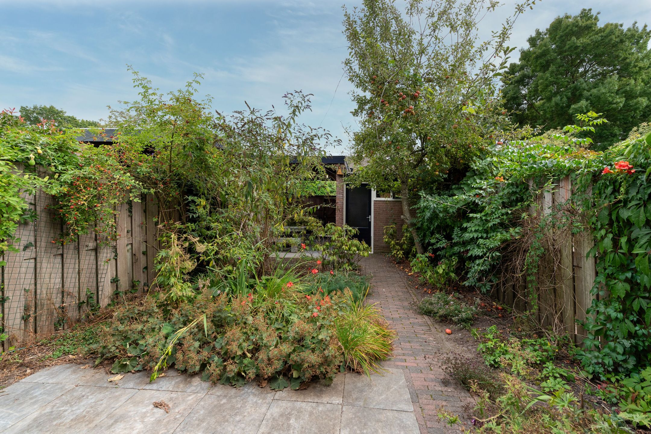 Foto 15 van Brugakker 5729