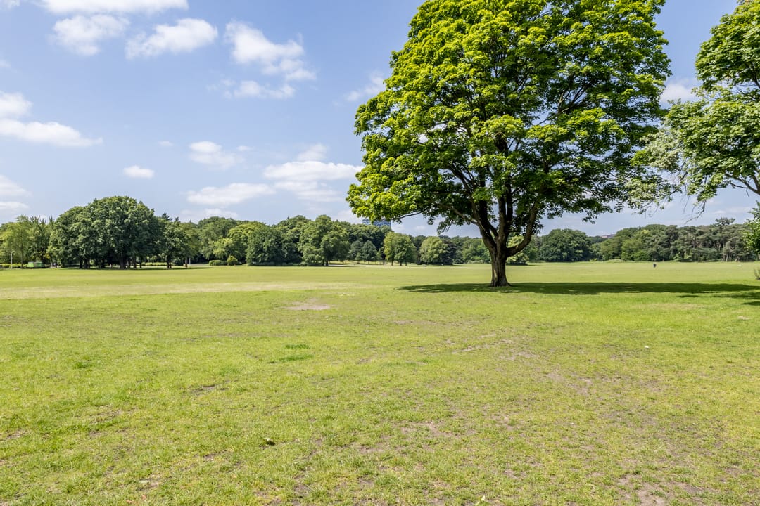 Foto 41 van St. Jacobslaan 18