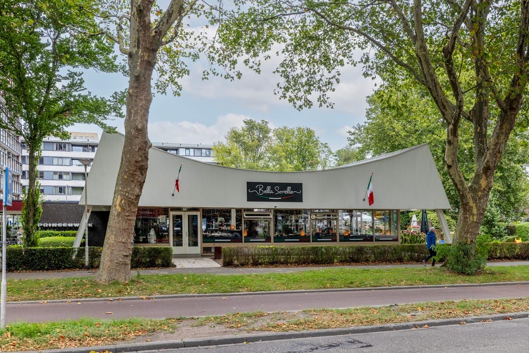 Foto 46 van Prinsenlaan 393