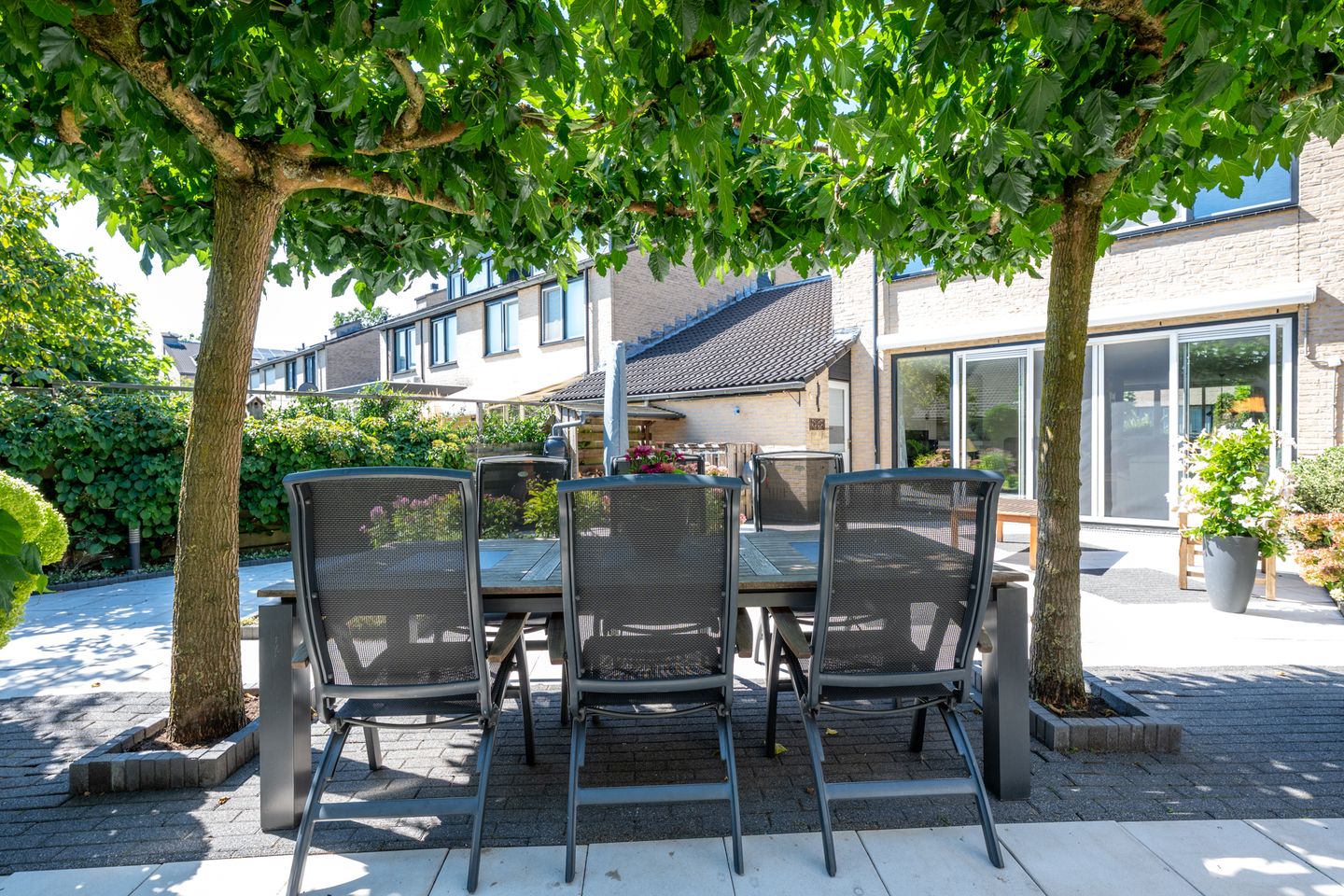 Photo 25 of Bovenmonde 3