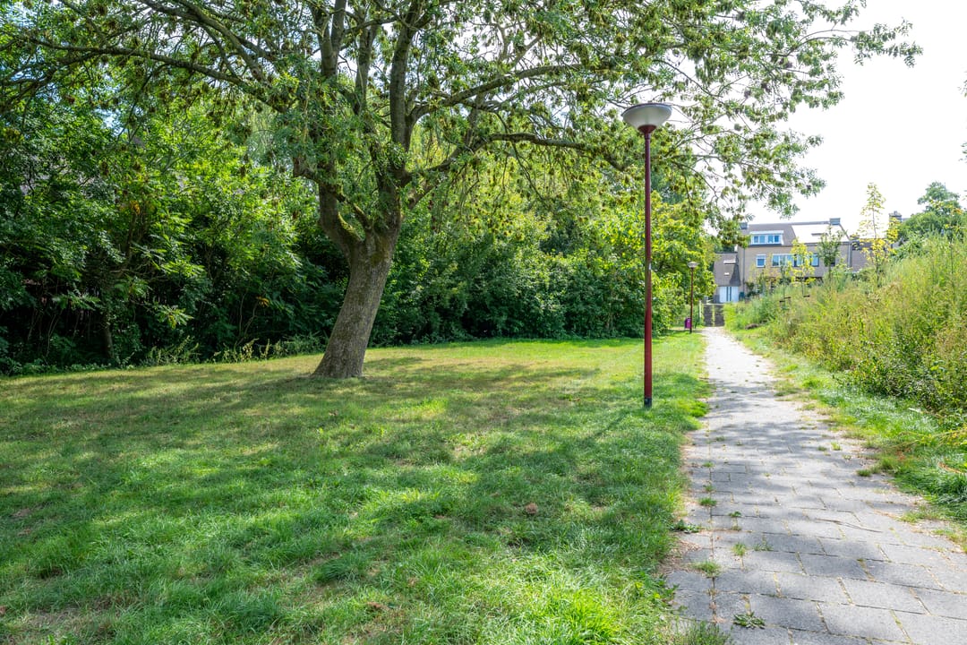 Photo 58 of Bovenmonde 3