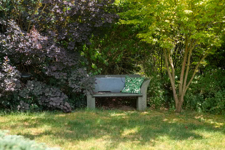 Foto 62 van Schellardweg 31