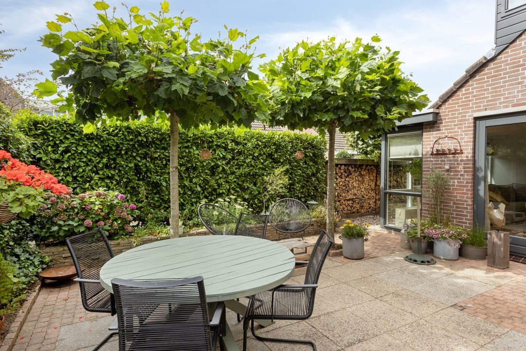 Foto 2 van Boswachtersveld 517